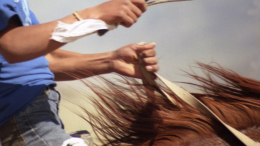 Лошадь сбила с ног ребенка на огромной скорости в Анапе — видео