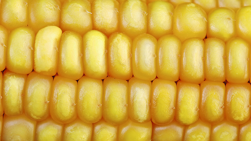 Сладкая, сочная, свежая: как определить качественную кукурузу по упаковке