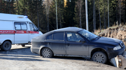 Россиянин отвлекся на телефон за рулем и отправил четверых детей в больницу