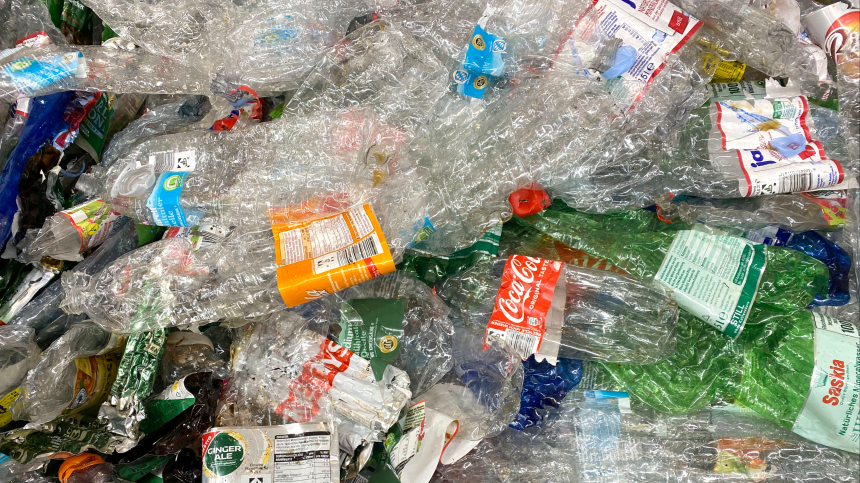 На благо экологии: в России могут запретить цветные пластиковые бутылки
