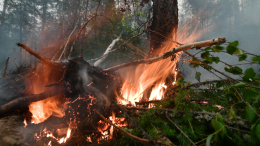 Дождя не ожидается: в Сибири ввели режим ЧС из-за лесных пожаров