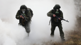 ВСУ вновь ударили по позициям российской армии запрещенным типом оружия