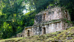 Археологи обнаружили давно потерянный город майя глубоко в мексиканских джунглях
