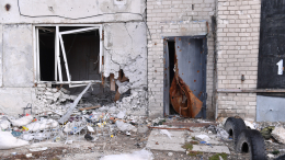 Боевики ВСУ нанесли ракетный удар по жилому сектору Лисичанска