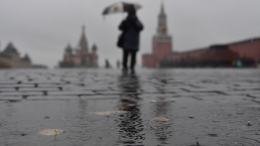 «Без дождей не бывает»: Вильфанд объяснил «мокрую» погоду в Москве этим летом
