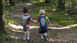 Как не потерять ребенка в лесу и что делать, если он пропал — советы эксперта