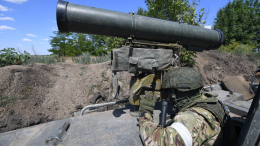 «Боремся»: ВС РФ выбивают остатки украинского десанта в районе Антоновского моста