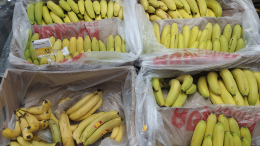 В порту Петербурга в контейнерах с бананами обнаружили 50 килограммов кокаина
