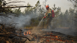 Режим ЧС: как спасатели борются с лесными пожарами на Дальнем Востоке и в Сибири