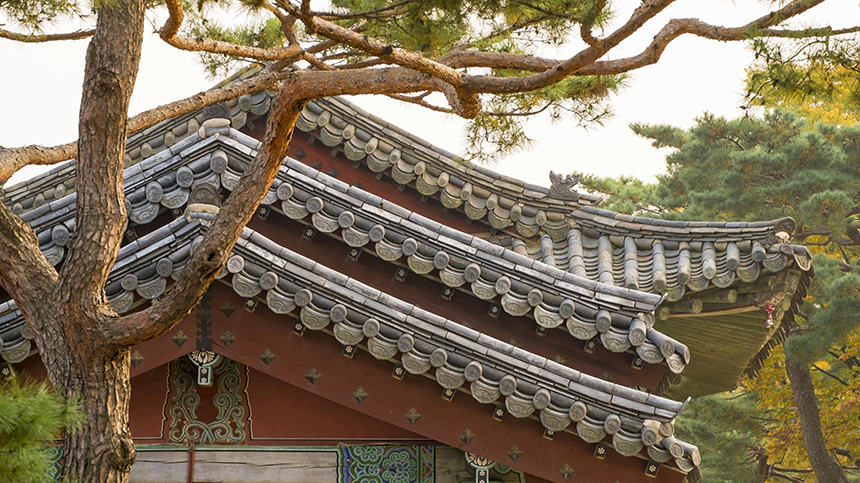 Места силы: топ-8 самых красивых локаций Южной Кореи
