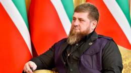 Кадыров поручил установить личности избивших Милашину и Немова