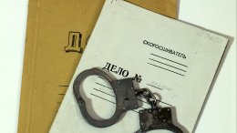 «Дано поручение»: возбудят ли уголовное дело по факту нападения на Милашину и Немова