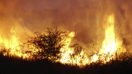 В районе Макеевки из-за обстрела ВСУ произошло возгорание нефтебазы