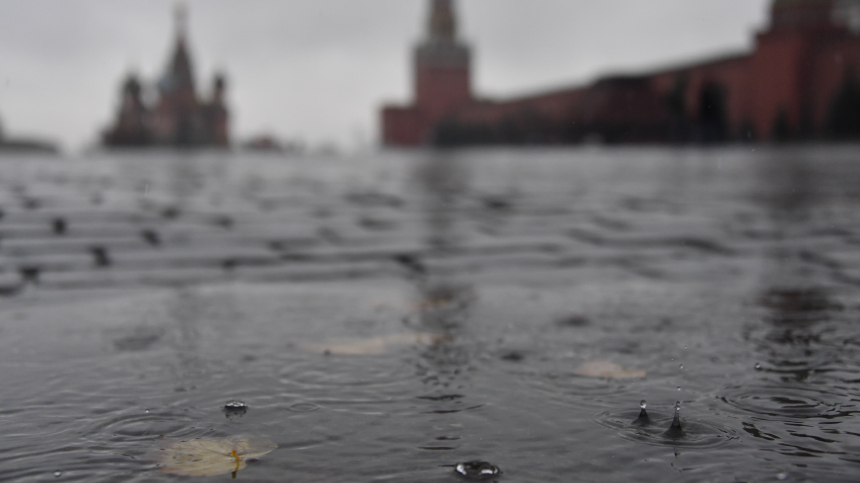 Грозы, град и порывистый ветер: жара в Москве быстро сменится непогодой
