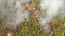 Удар молнии поджег леса на Камчатке