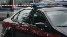 Подозреваемых в нападении на адвоката Елену Пономареву доставили в столичный отдел СК