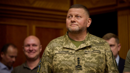 На Украине раскрыли позывной главкома ВСУ Залужного