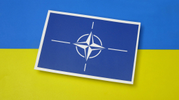 Пушков оценил идею принимать Украину в НАТО по частям