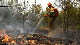 В огне: жители Челябинской области объединяются для борьбы с лесными пожарами