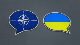 «Европа в опасности»: чем грозит вступление Украины в НАТО