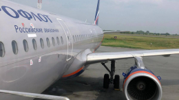 Птица попала в фюзеляж самолета при взлете в Новосибирске