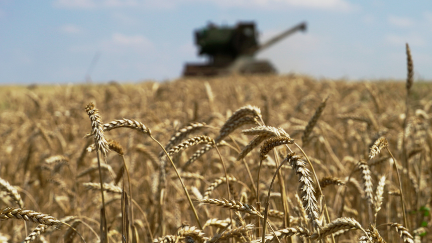 Эрдоган сообщил, что Путин высказал предложения по зерновой сделке