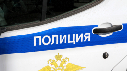 Троих молодых людей с огнеметом задержали на крыше дома в Москве