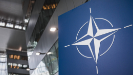 Американский политик Янг заявил, что роспуск НАТО — лучший исход для Украины