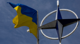 Белый дом назвал вопрос о будущем Украины в НАТО решенным