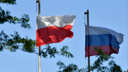 «Путин — стратег»: в США объяснили, почему Россия не станет воевать с Польшей