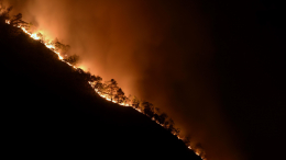 Масштабная эвакуация: лесные пожары охватили часть Турции