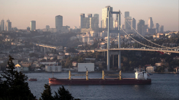 Россия уведомила Турцию, Украину и ООН о возражении против продления зерновой сделки