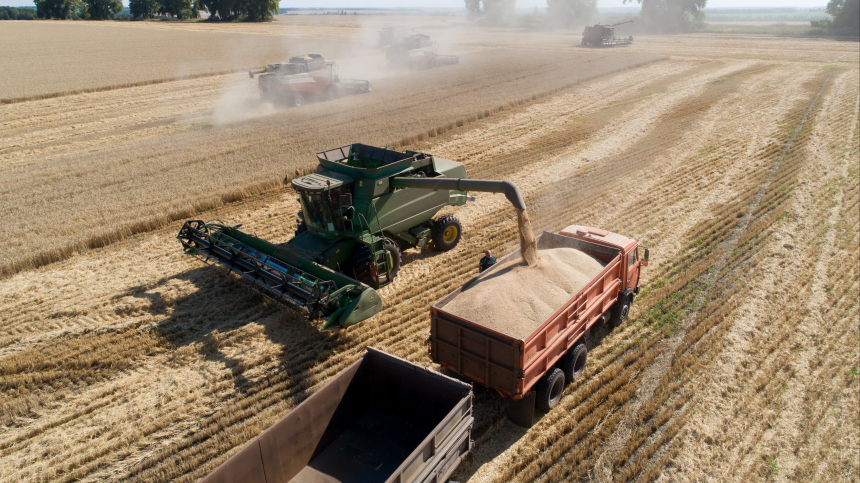 «Возникают риски»: возможно ли продолжить выполнение зерновой сделки без России