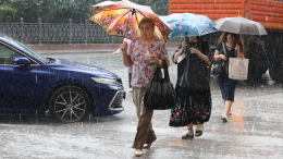 В Москве за сутки выпала треть месячной нормы осадков. Когда конец дождям?