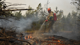 Глава МЧС назвал халатной работу чиновников по предупреждению лесных пожаров
