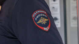 В Москве задержали подозреваемых в избиении мужчины в Парке Горького