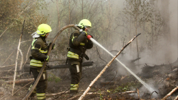 Все непросто: что происходит с лесными пожарами в России