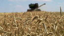 Путин заявил, что Россия способна заместить поставки украинского зерна