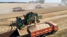 «В состоянии заместить»: что Россия будет делать после завершения зерновой сделки