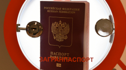 Ни одно министерство не поддержало ускоренную выдачу загранпаспорта в РФ