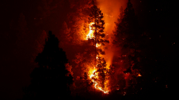 Испания, Греция, Франция и не только: Европа «умирает» в лесных пожарах