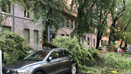 Непогода обрушилась на Казань: шквалистый ветер срывает крыши с домов и валит деревья