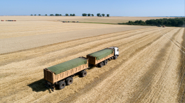 Песков раскрыл сроки возвращения России в зерновую сделку