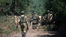На Украине заявили о способности армии РФ дойти до Киева за 12 часов