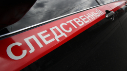 СК возбудил уголовное по факту убийства 15-летней девочки в Белгородской области