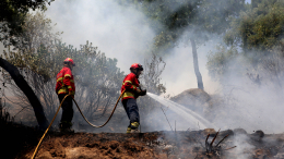 Европу охватили природные пожары: горит Португалия и остров Сардиния