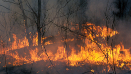 Огненная стихия: как в Якутии борются с природными пожарами
