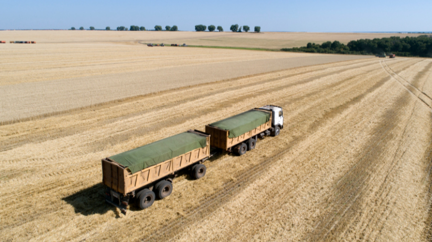 «Мы сделали все»: Блинкен о разрешении вопросов по зерновой сделке с Россией