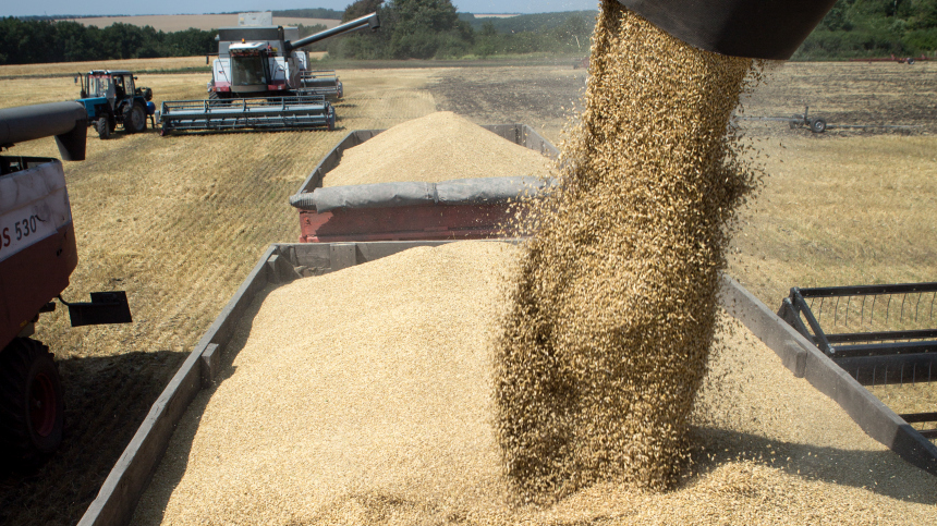 Египет заключил контракт на покупку российской пшеницы