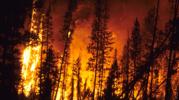Якутию накрыл дым от масштабных лесных пожаров